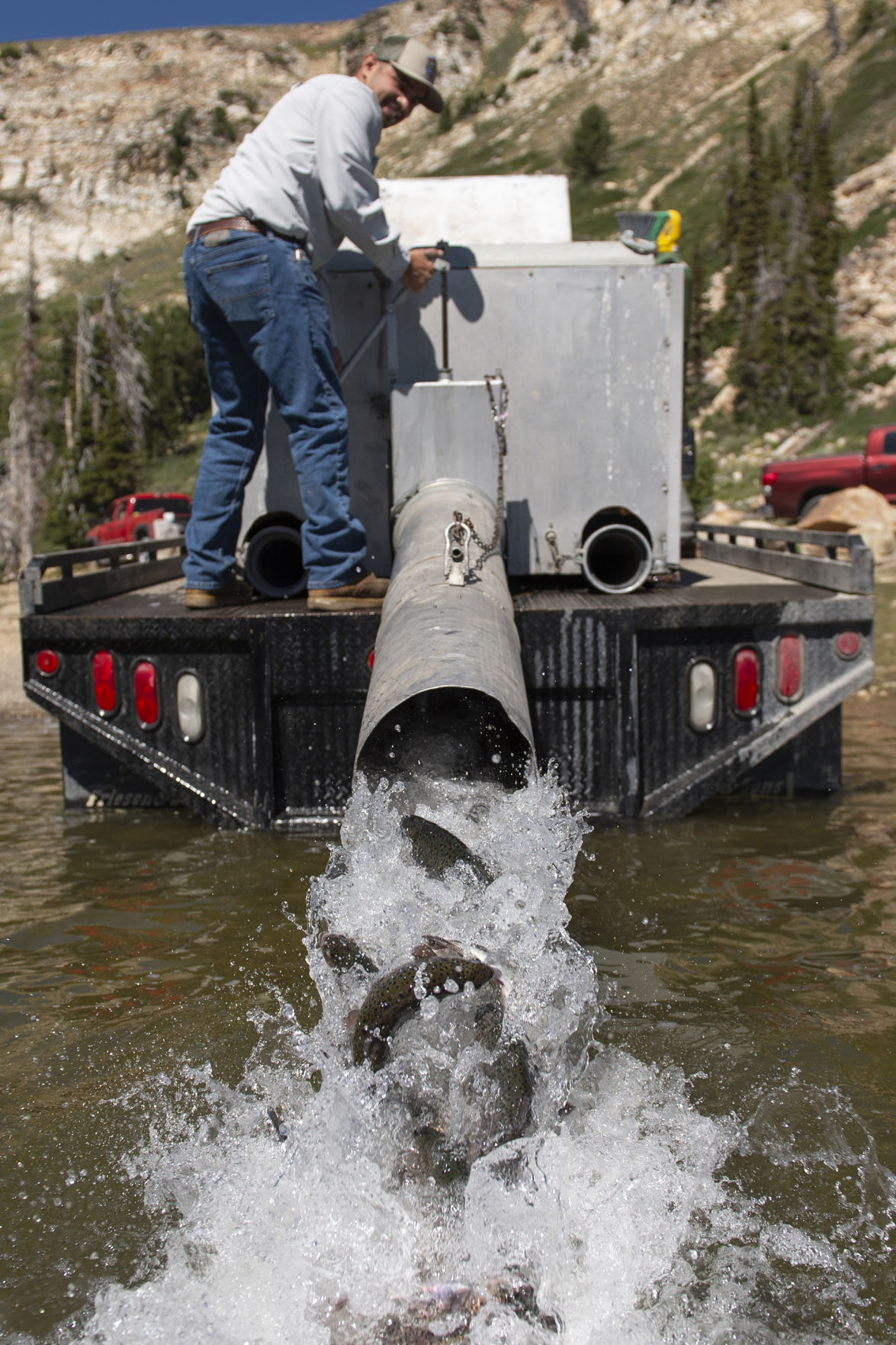 Stocking trout in Lake Cleveland